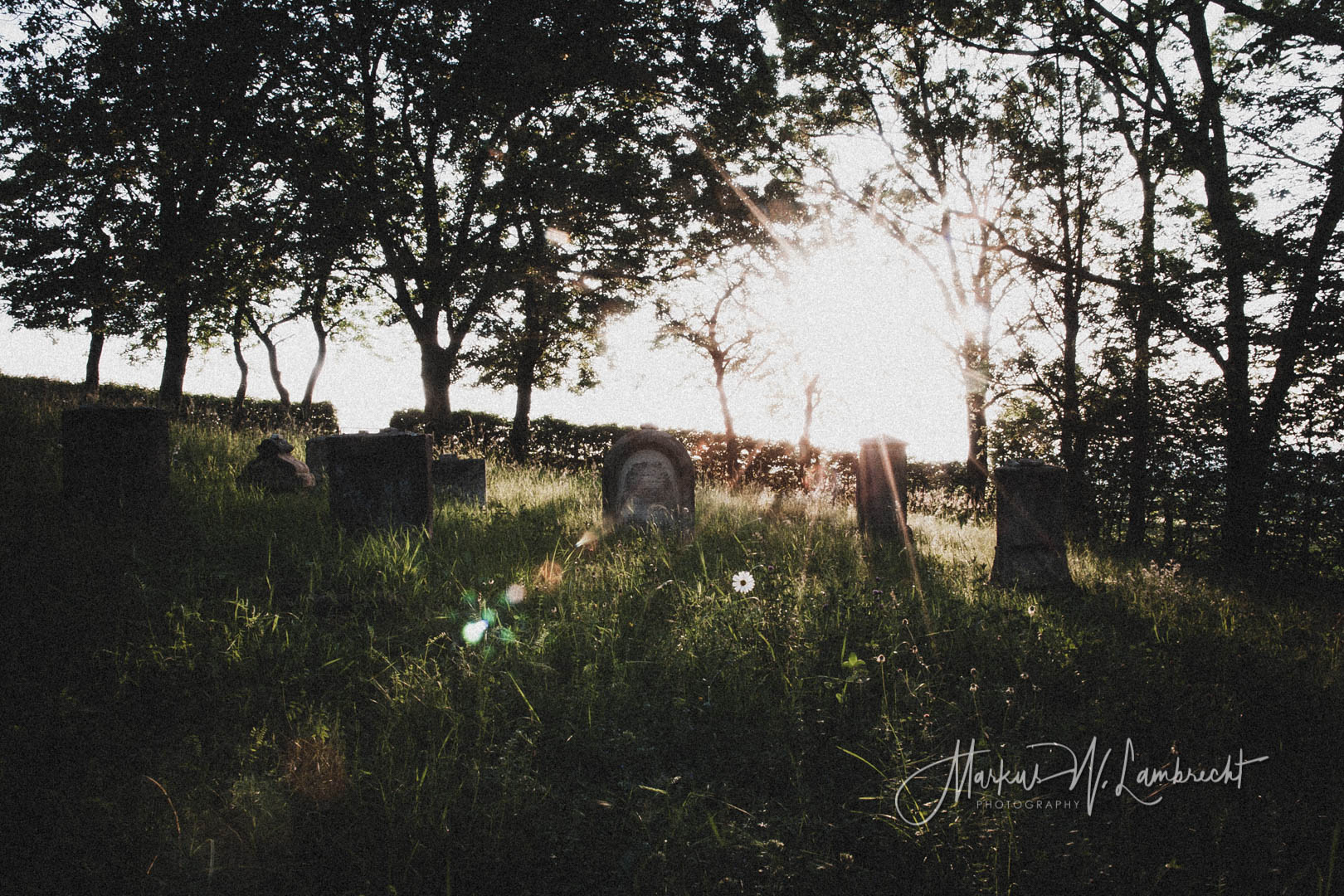 Wettesingen, Jüdischer Friedhof